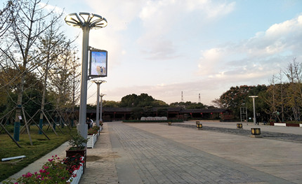 在這綠樹成蔭的公園里，我是一棵特別的“樹”